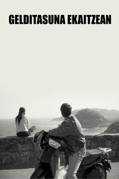 Stillness in the Storm poster