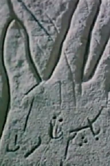 The Secrecy of an Open Palm poster