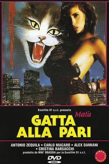 Gatta alla pari poster
