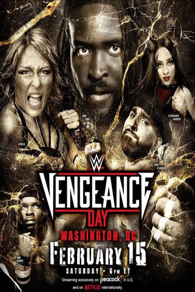 NXT Vengeance Day 2025 poster