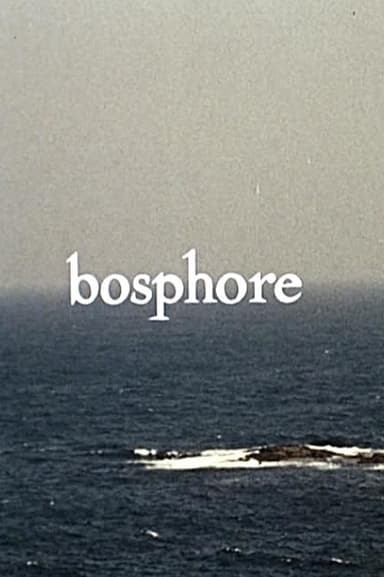 Bosphore poster