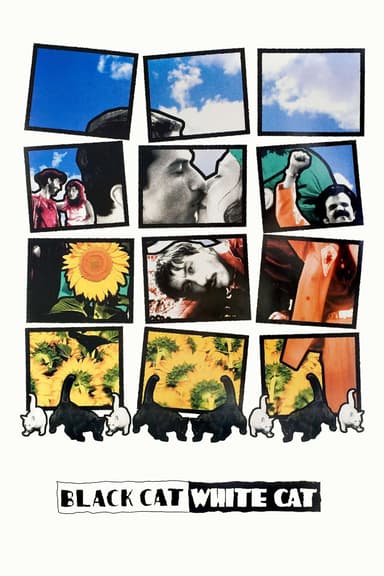 Black Cat, White Cat poster