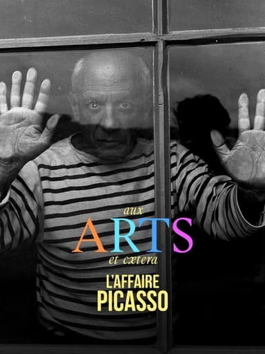 Aux arts et caetera : L'affaire Picasso poster